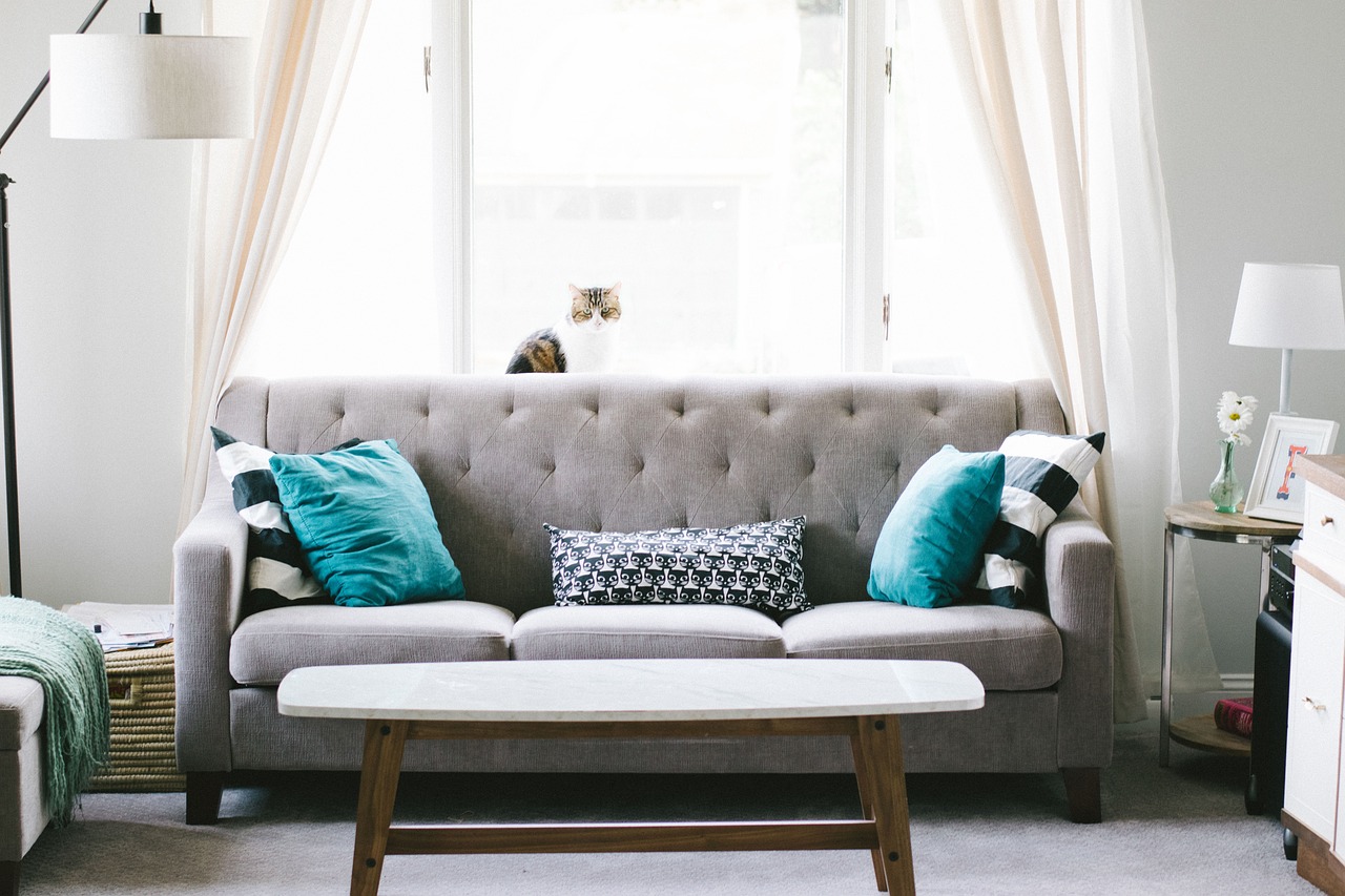 a clean sofa is placed in a room