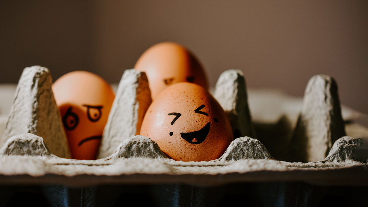 A home repellent made with the egg carton to keep mosquitoes away