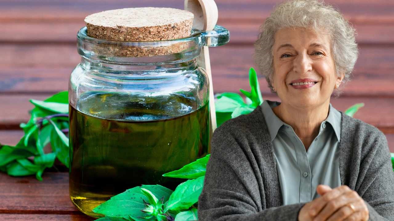 Grandma's recipe for preparing basil oil, using flowers and leaves