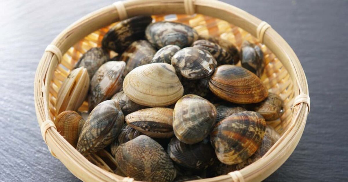 The Trick to Get Sand Out of Clams, You Need One Ingredient