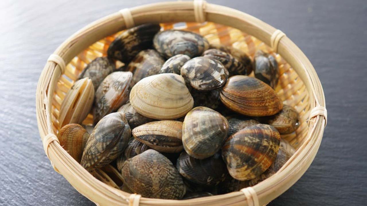Clams: how to purge them using flour