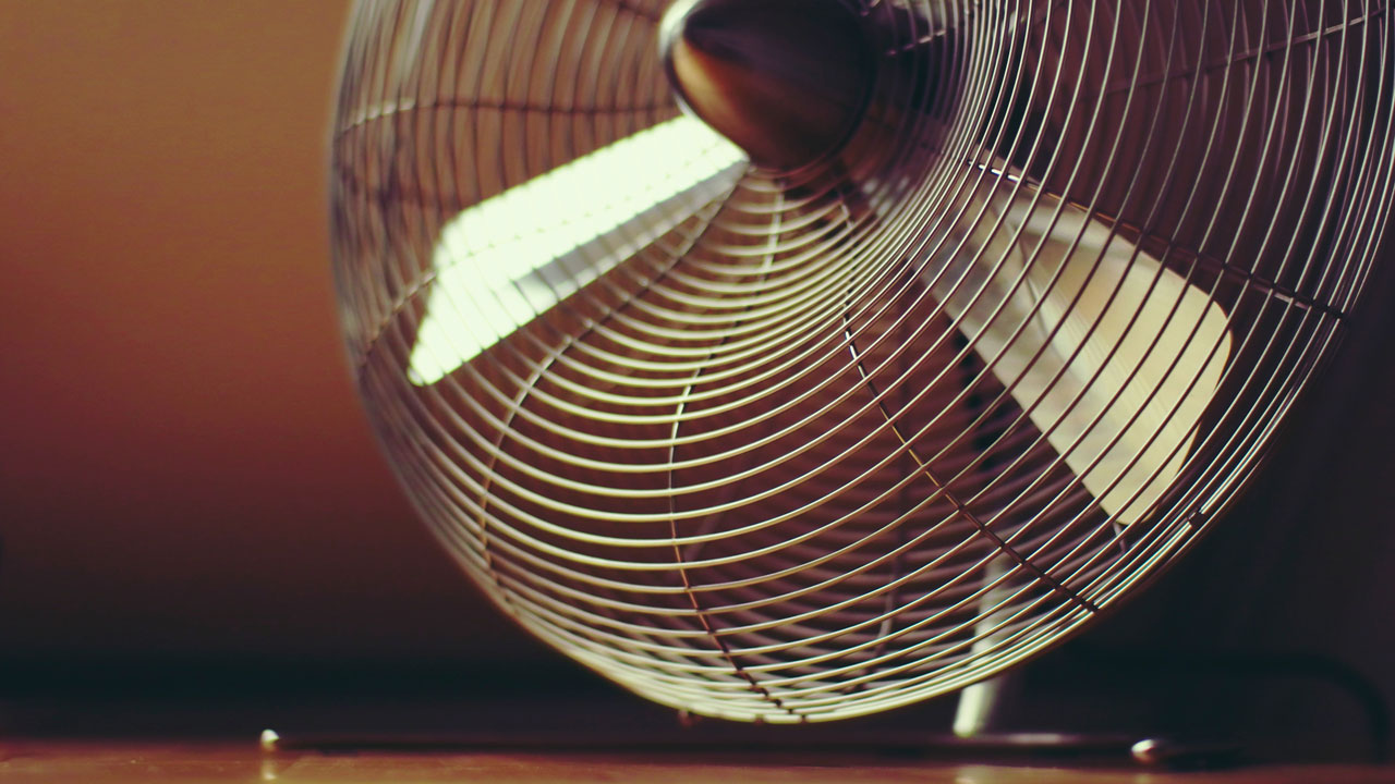 dust tends to accumulate on the fan blades and grill