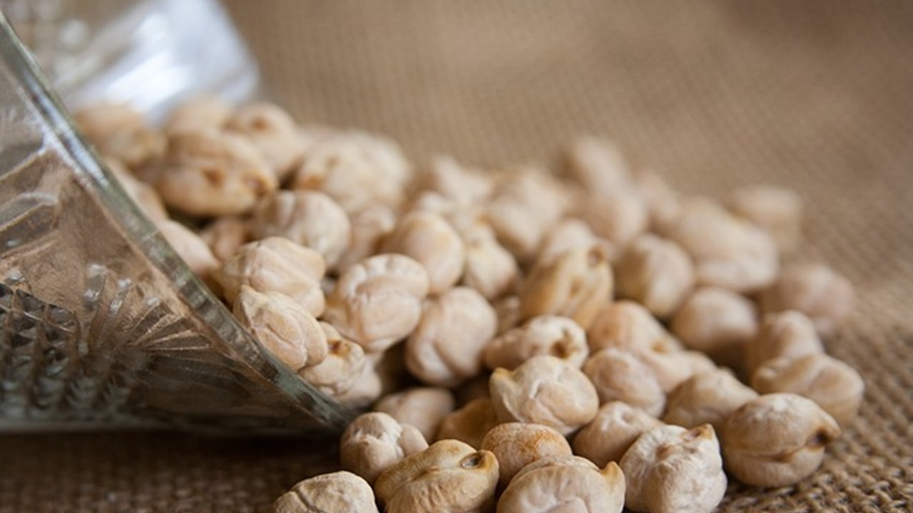 chickpeas are loaded with all the essential amino acids vital for optimal bodily function