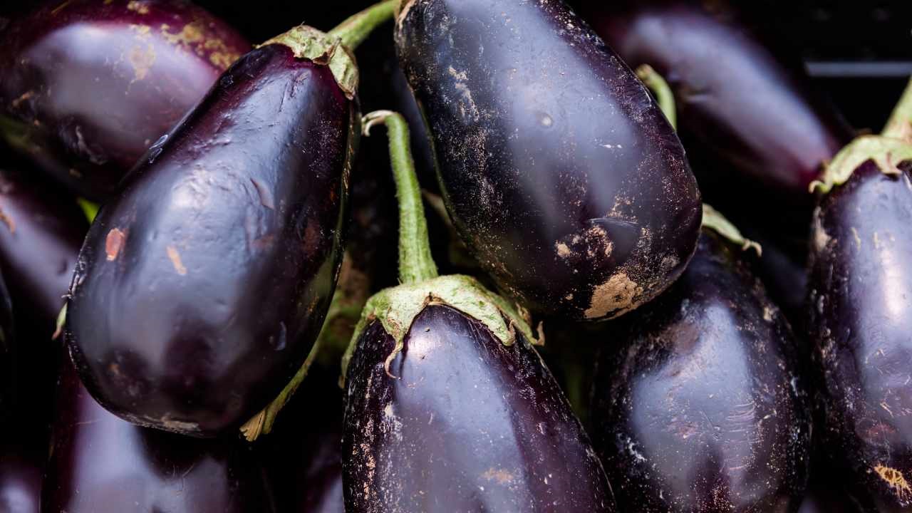 full grown aubergines