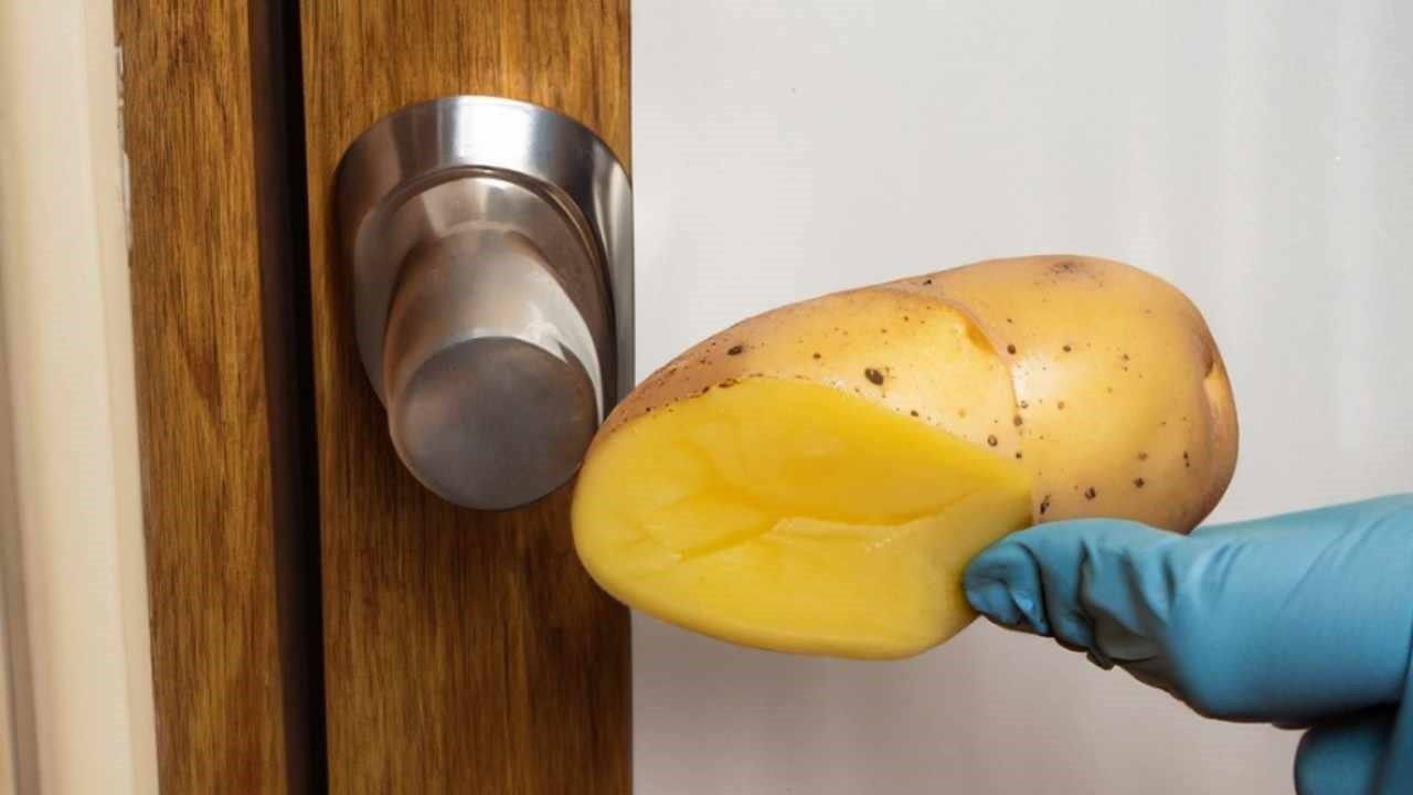 rubbing potato on the door