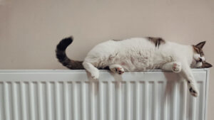 How to Clean Radiators Before You Start Using Them Again