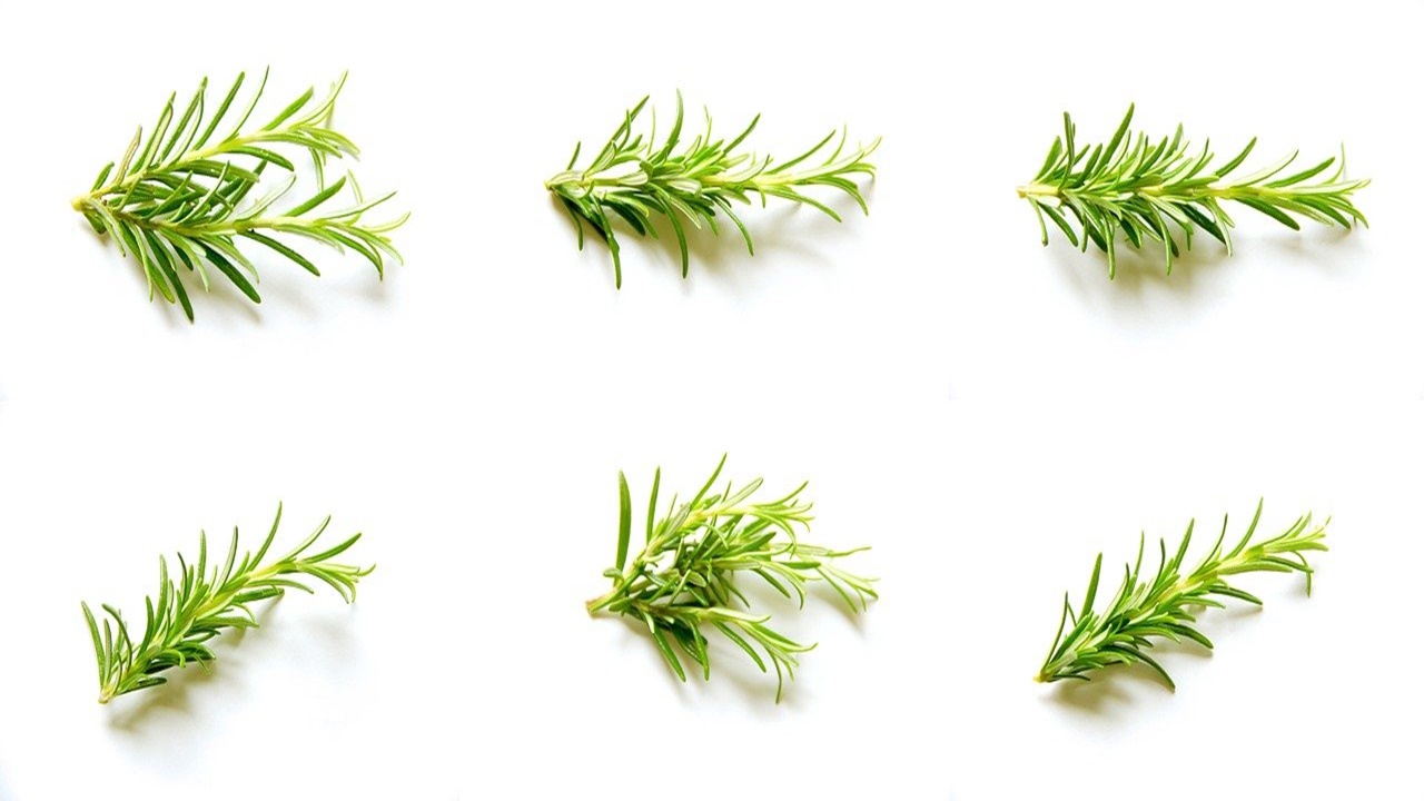 leaves of rosemary are placed on the table