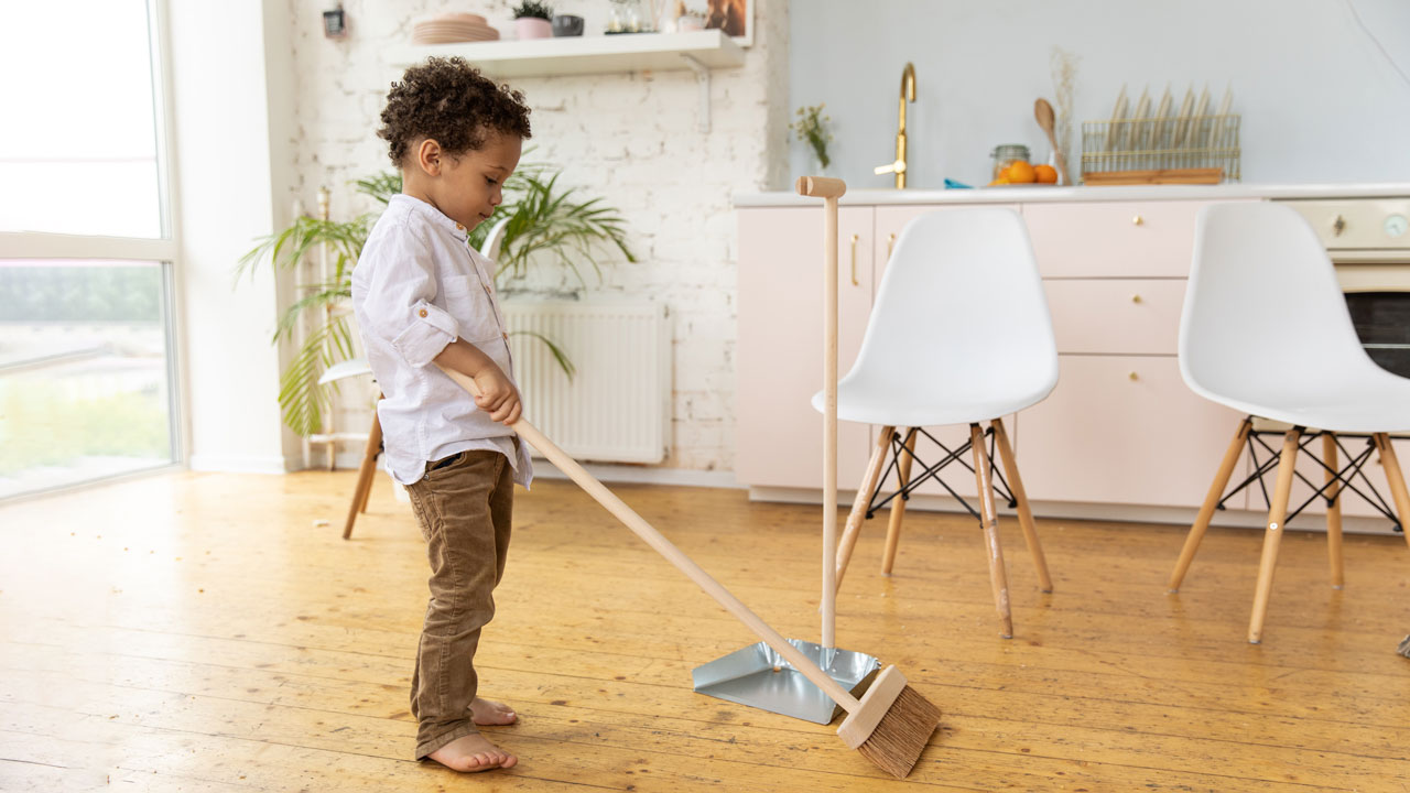 Remove Dust and Hair with a Simple Trick