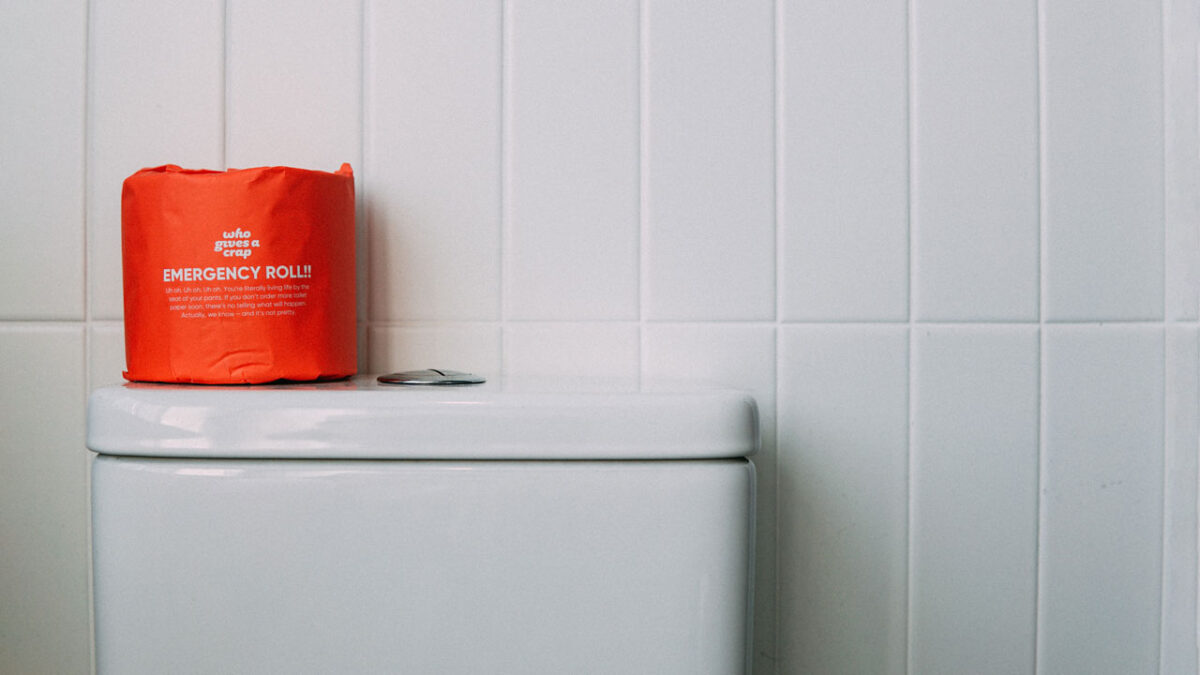 Toilet Cistern, How to Clean It the Right Way