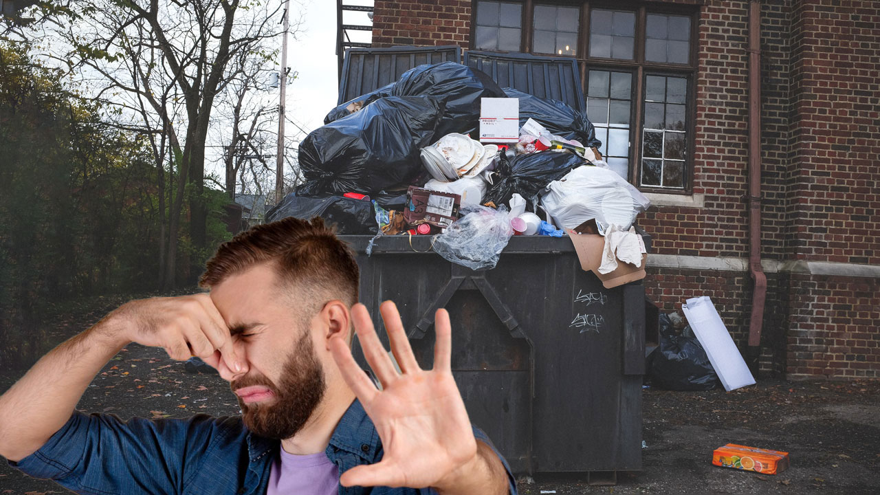 6 effective tricks for an odor-free waste bin