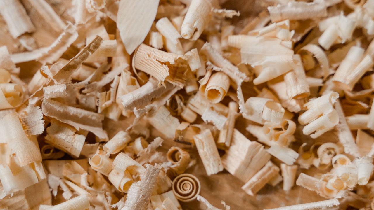 you can opt for sawdust to absorb moisture inside the vacuum cleaner