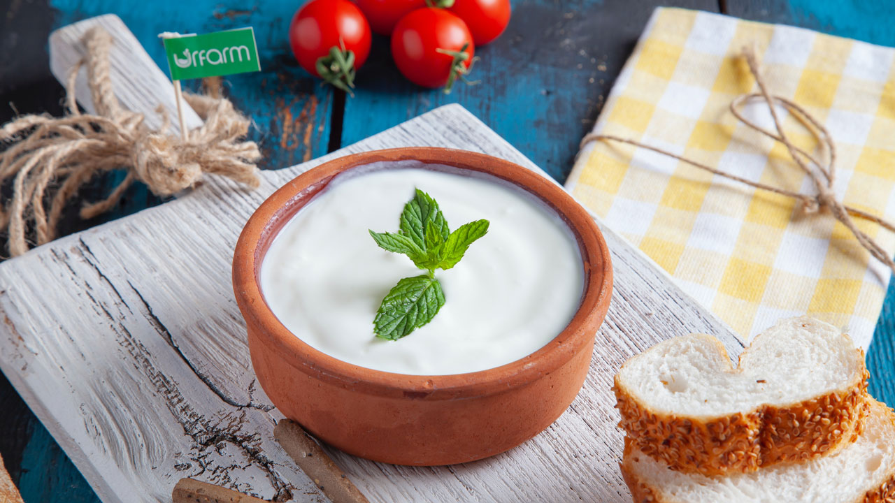 Mini yogurt flatbread, the light recipe for an aperitif with friends