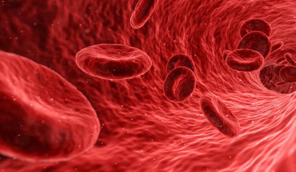 To lower cholesterol you only need two ingredients