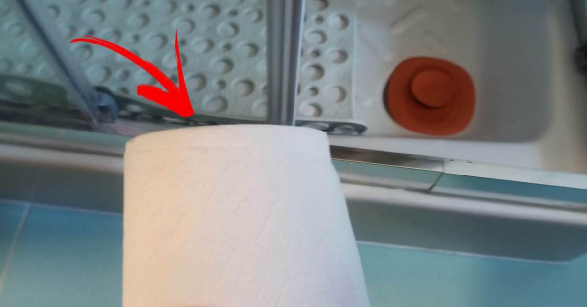 The Toilet Paper Trick to Remove Mold From Shower Rails