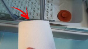 The Toilet Paper Trick to Remove Mold From Shower Rails