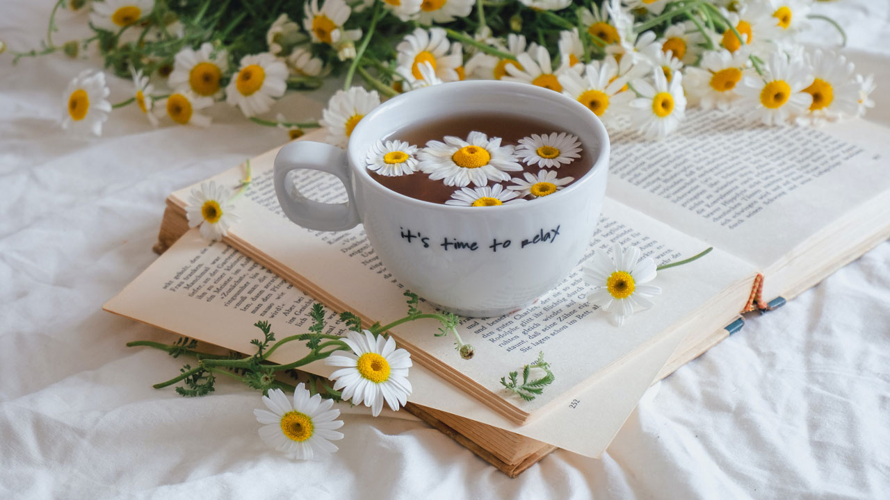 Chamomile is an excellent remedy for soothing and softening the skin.