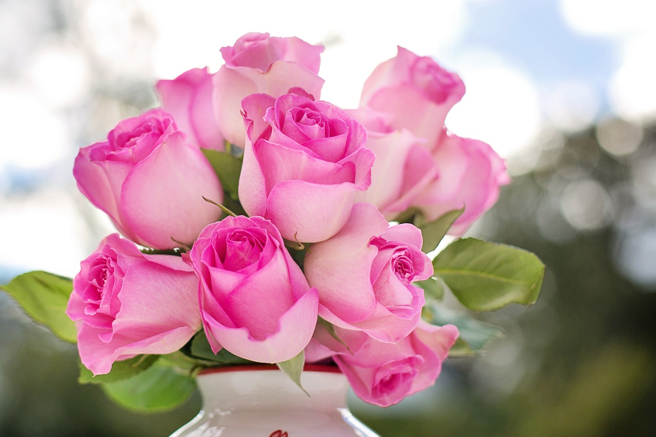 pink roses in a vase