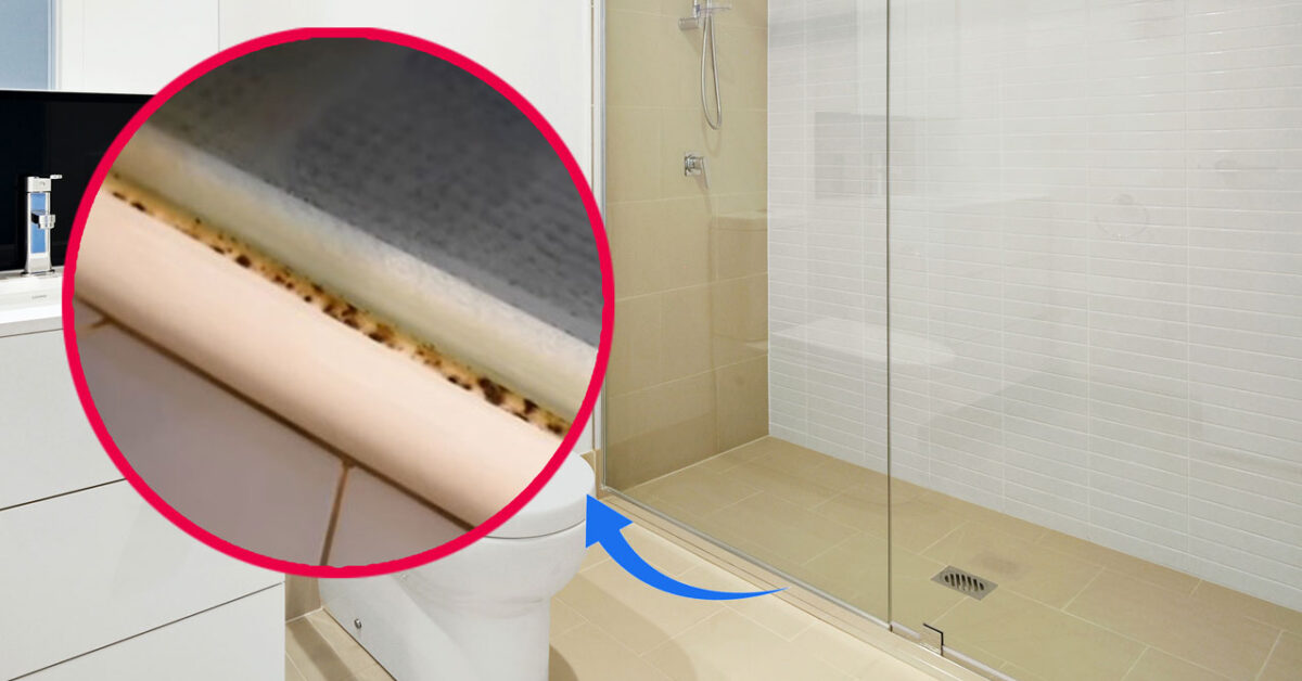 Remove Black Mold From Bathroom Silicone in Just 30 Minutes