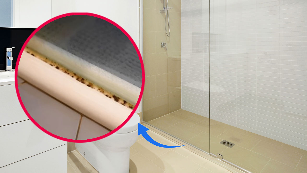 remove black mold from bathroom silicone