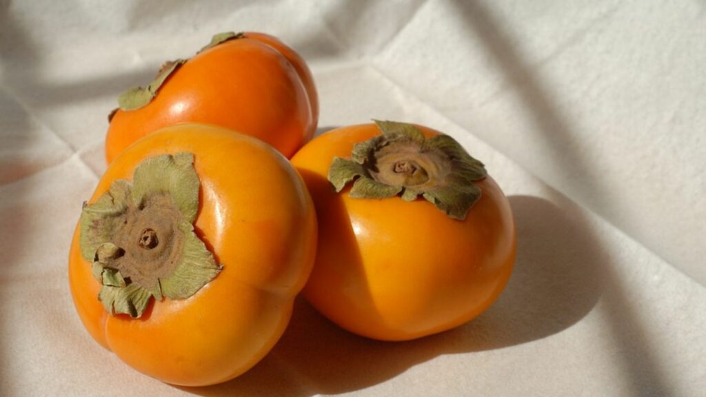 Sharon fruit has a much more squat and round shape