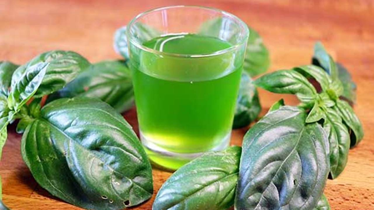 a glass filled with basil liqueur and surrounded with basil leaves is placed on a table