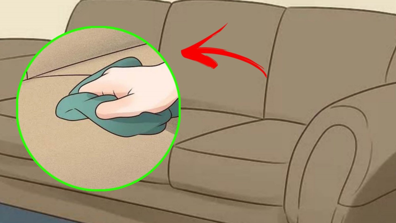 Discover the towel method to thoroughly clean fabric sofas