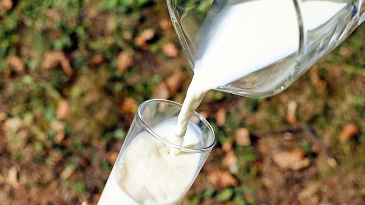 A common ingredient that is very useful in fighting parasites is milk