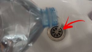 The Smell of Sewer From the Shower Drain is a Common Problem, but You Can Solve It with a Bottle.