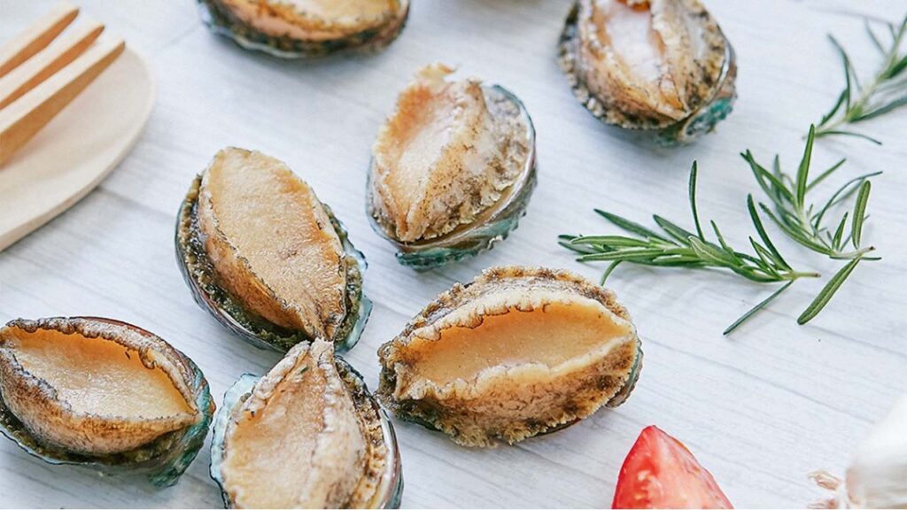 They Look Like Oysters but They are Not How to Recognize Abalone