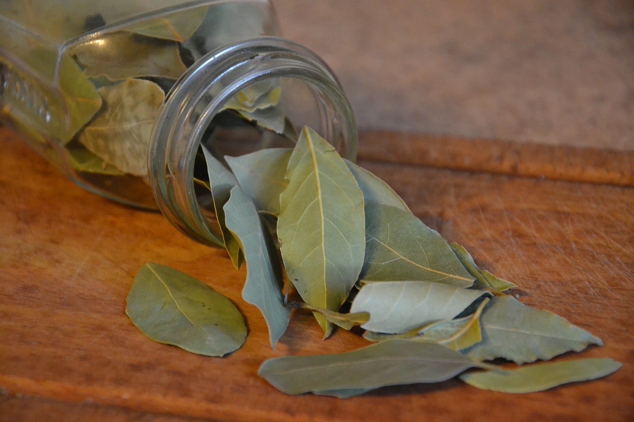 laurel leaves outside from the jar placed on the table