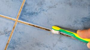The Floor Grout Will be Very Clean Again: All You Need is a Toothbrush