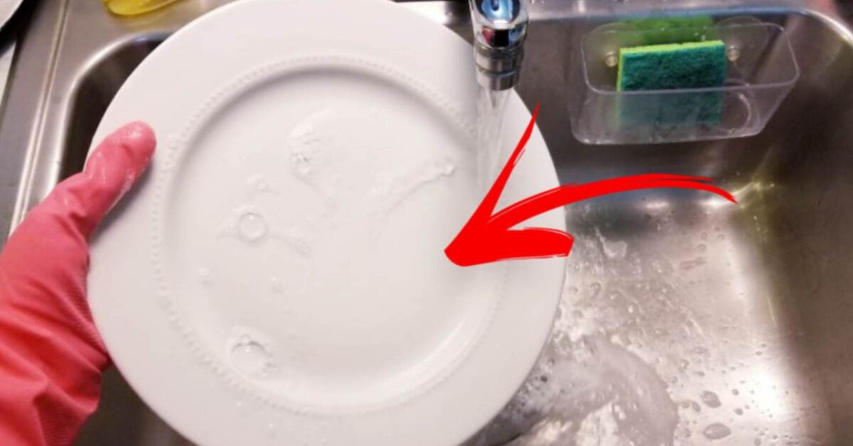 Is It Okay to Wash Dishes with Bleach? Its Effects