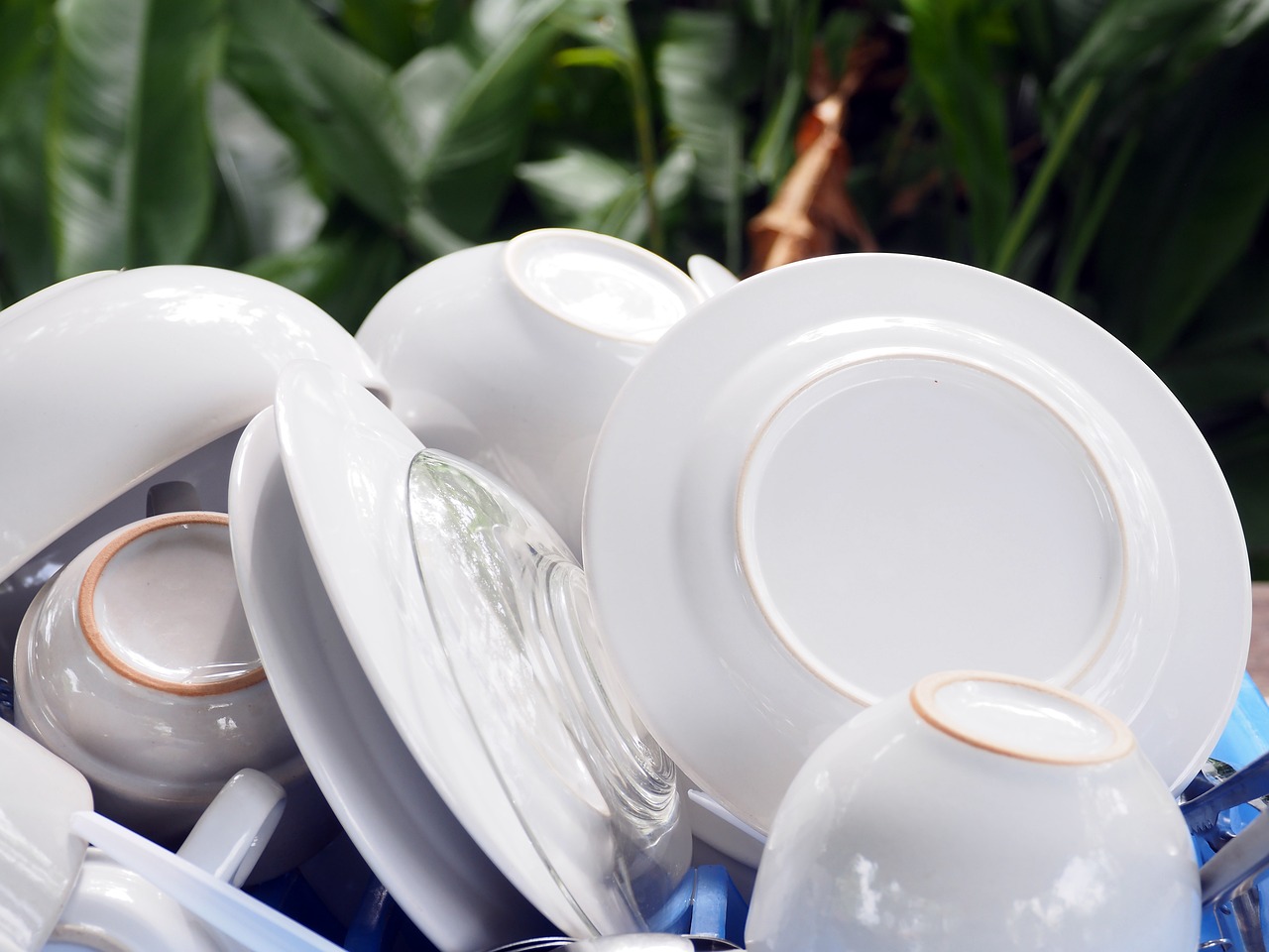 dishes are dry and clean after the washing