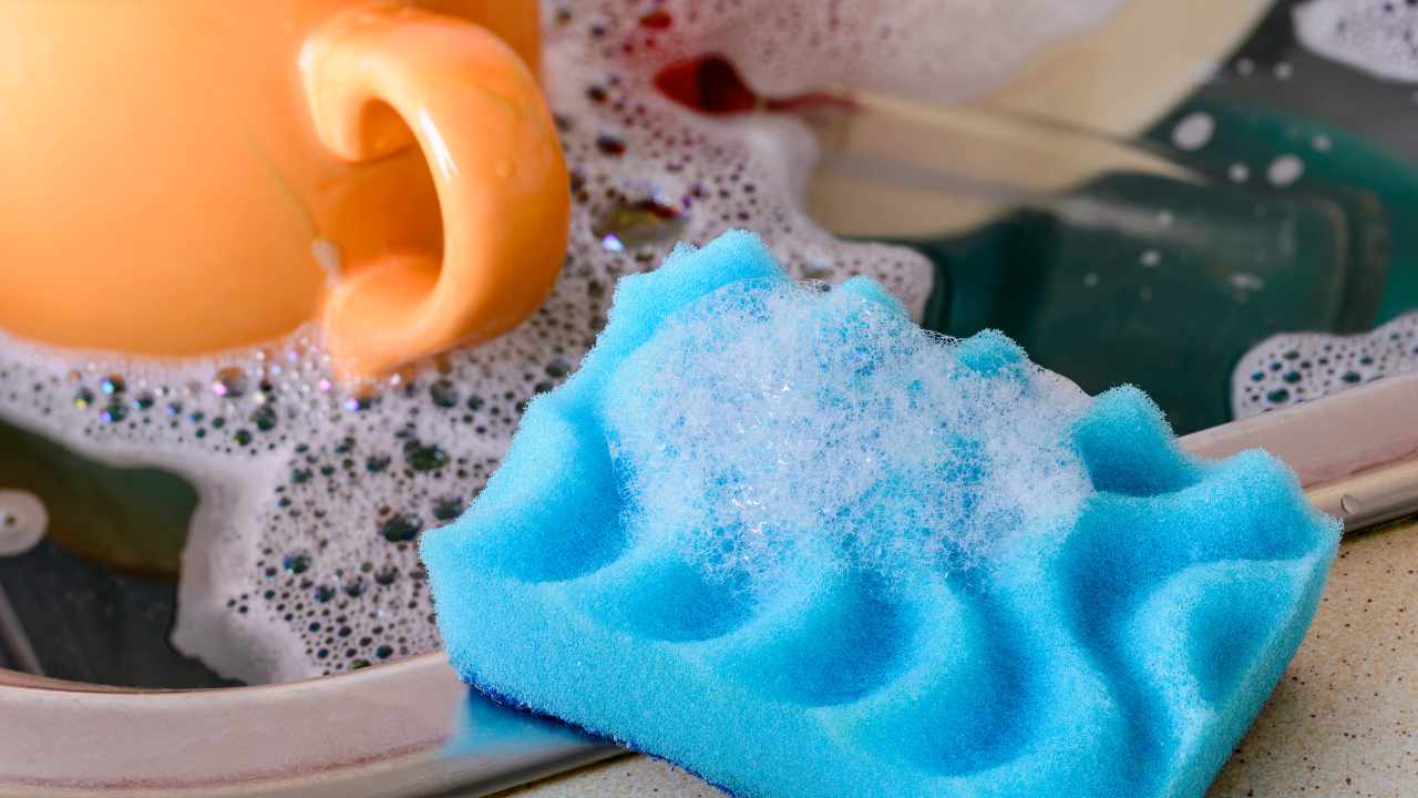 Regularly replace dish sponge will give you important benefits