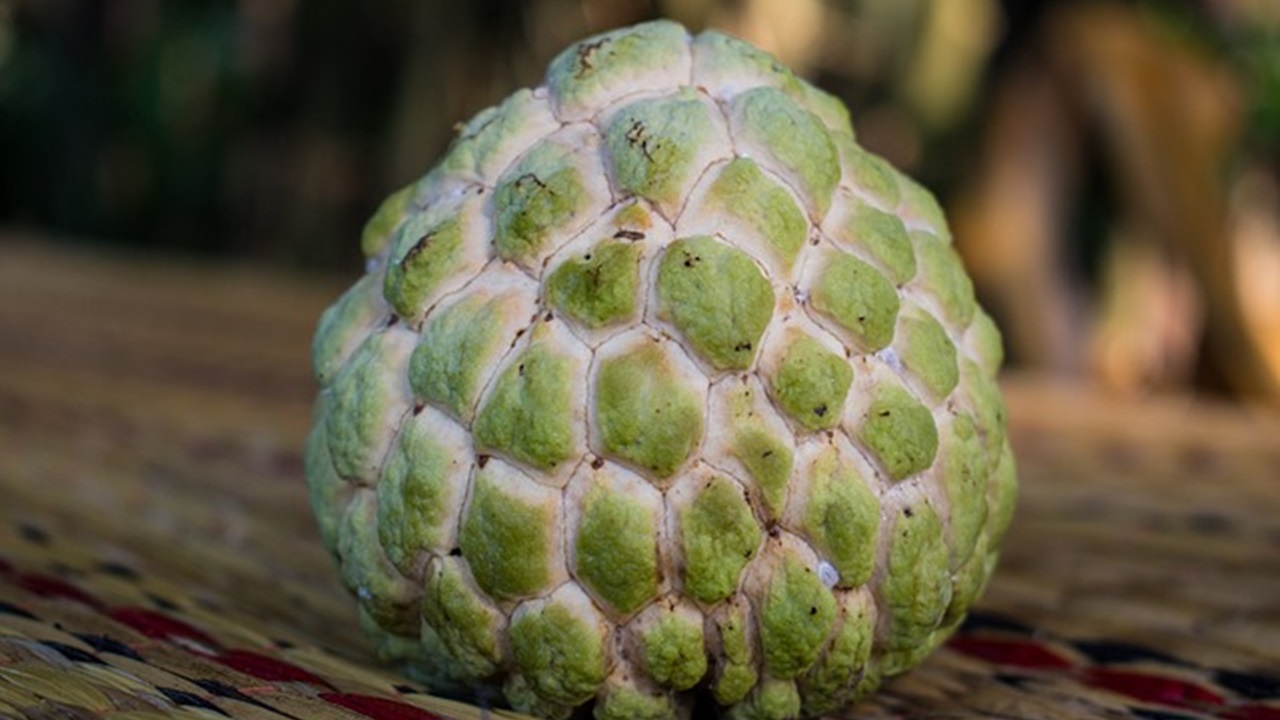 Annona fruit placed on the table