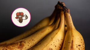 Try This Remedy to Say Goodbye to Fruit Flies in Your Home Forever