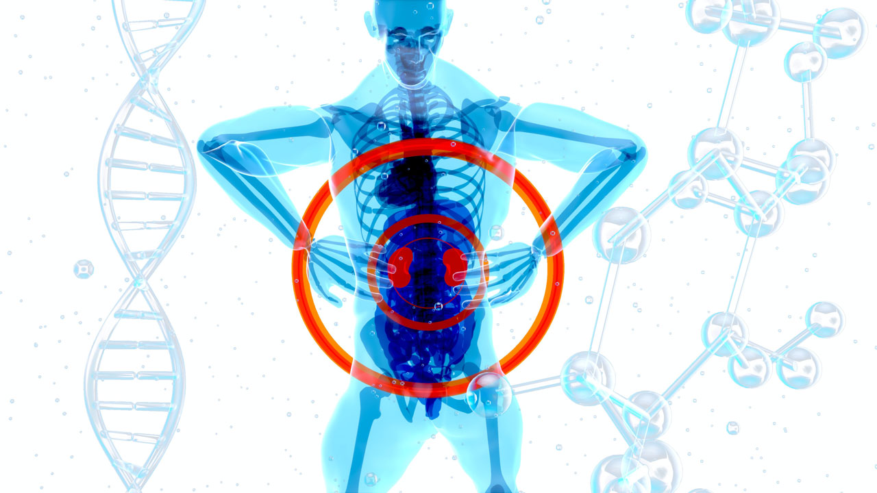 What happens when you suffer from kidney failure