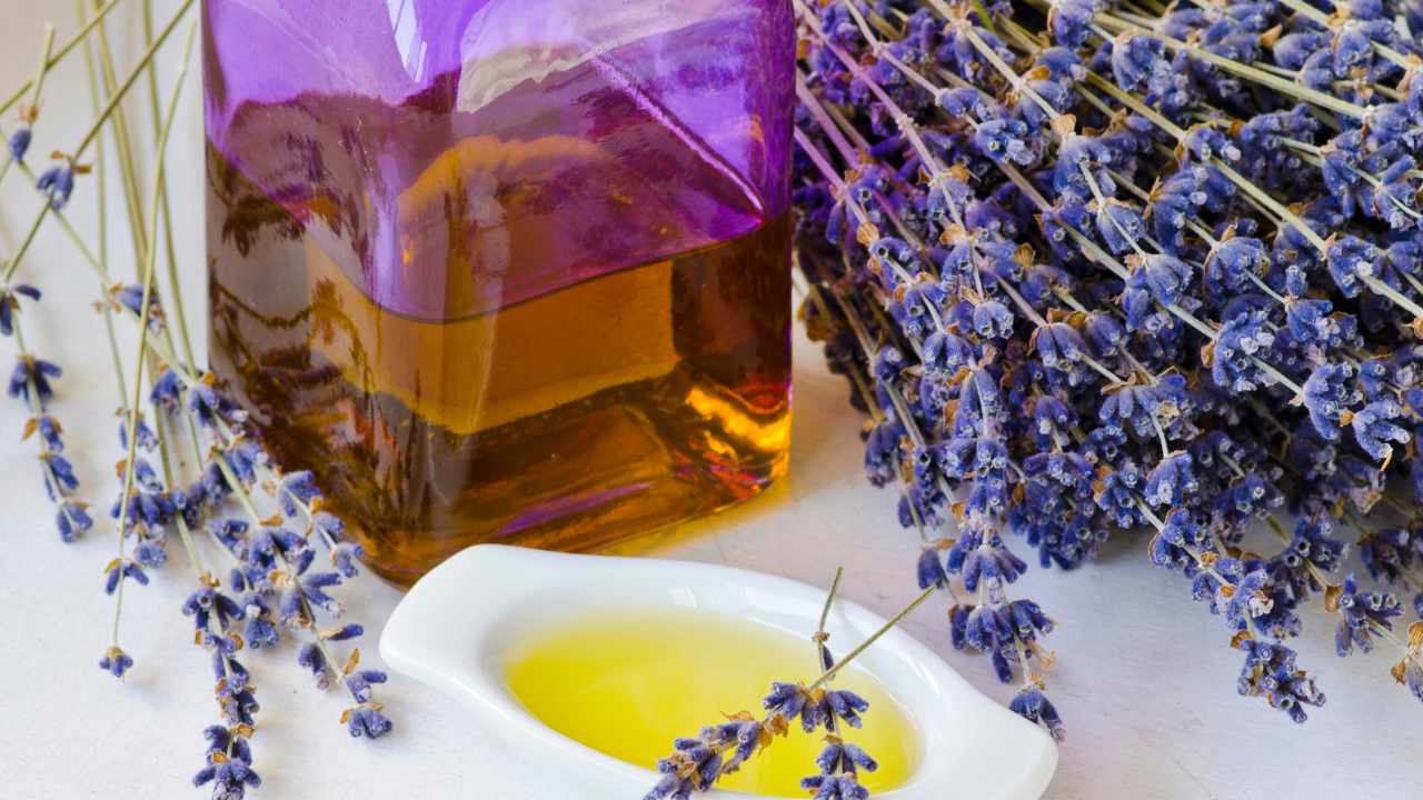 Lavender essential oil, the method to prepare it at home
