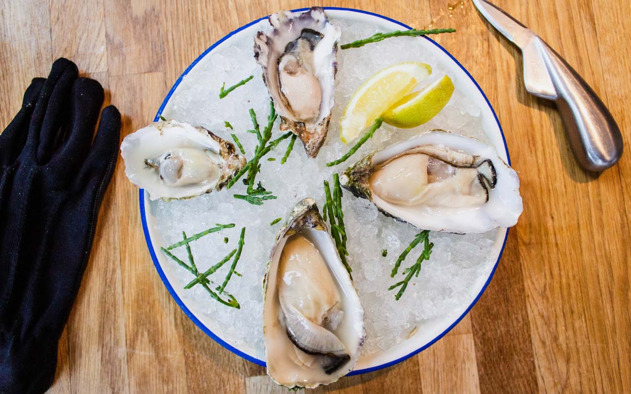 Oysters in a plate