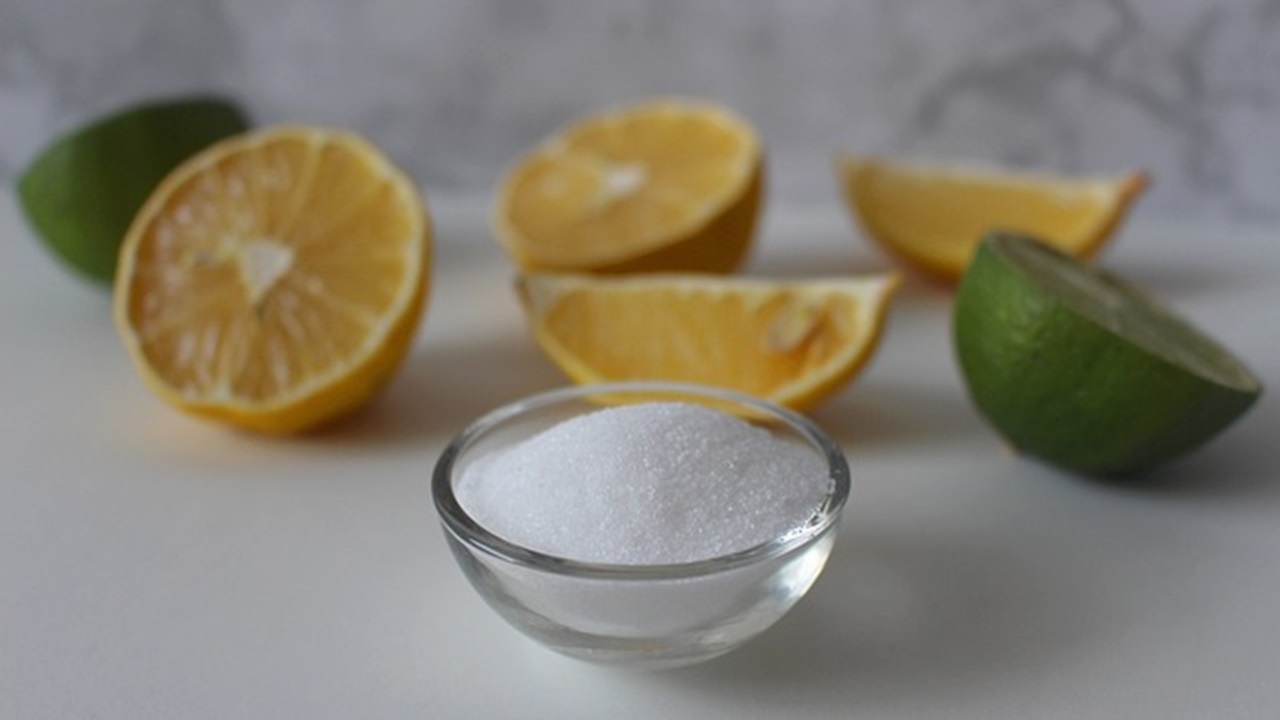sliced lemons and coarse salt in a cup are placed on the table