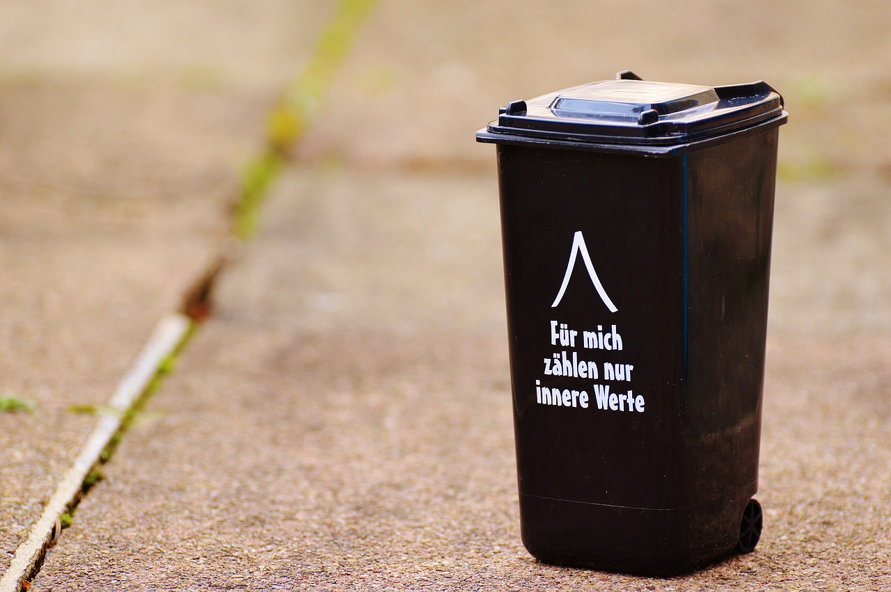 Eliminate the bad smell from the garbage bin in a simple and economical way