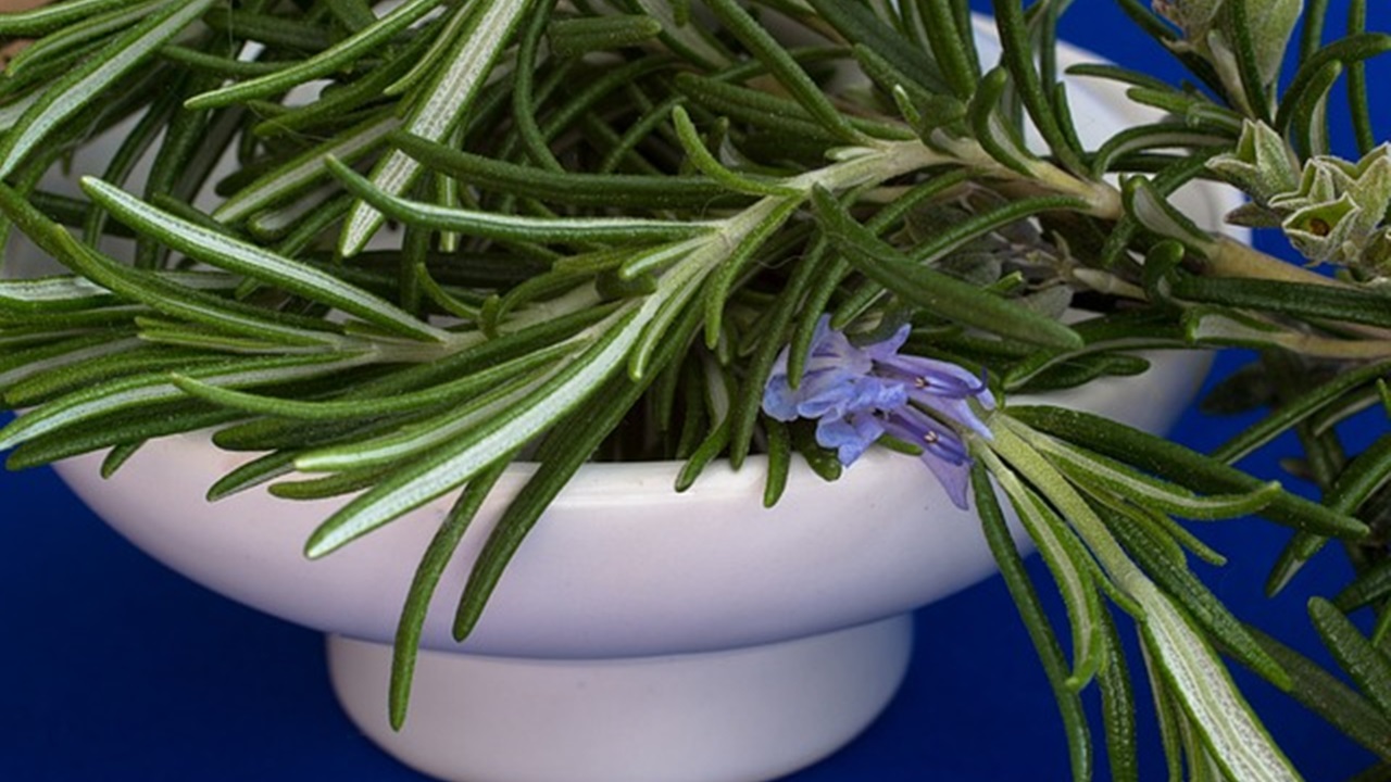 some rosemary is placed in a bowl