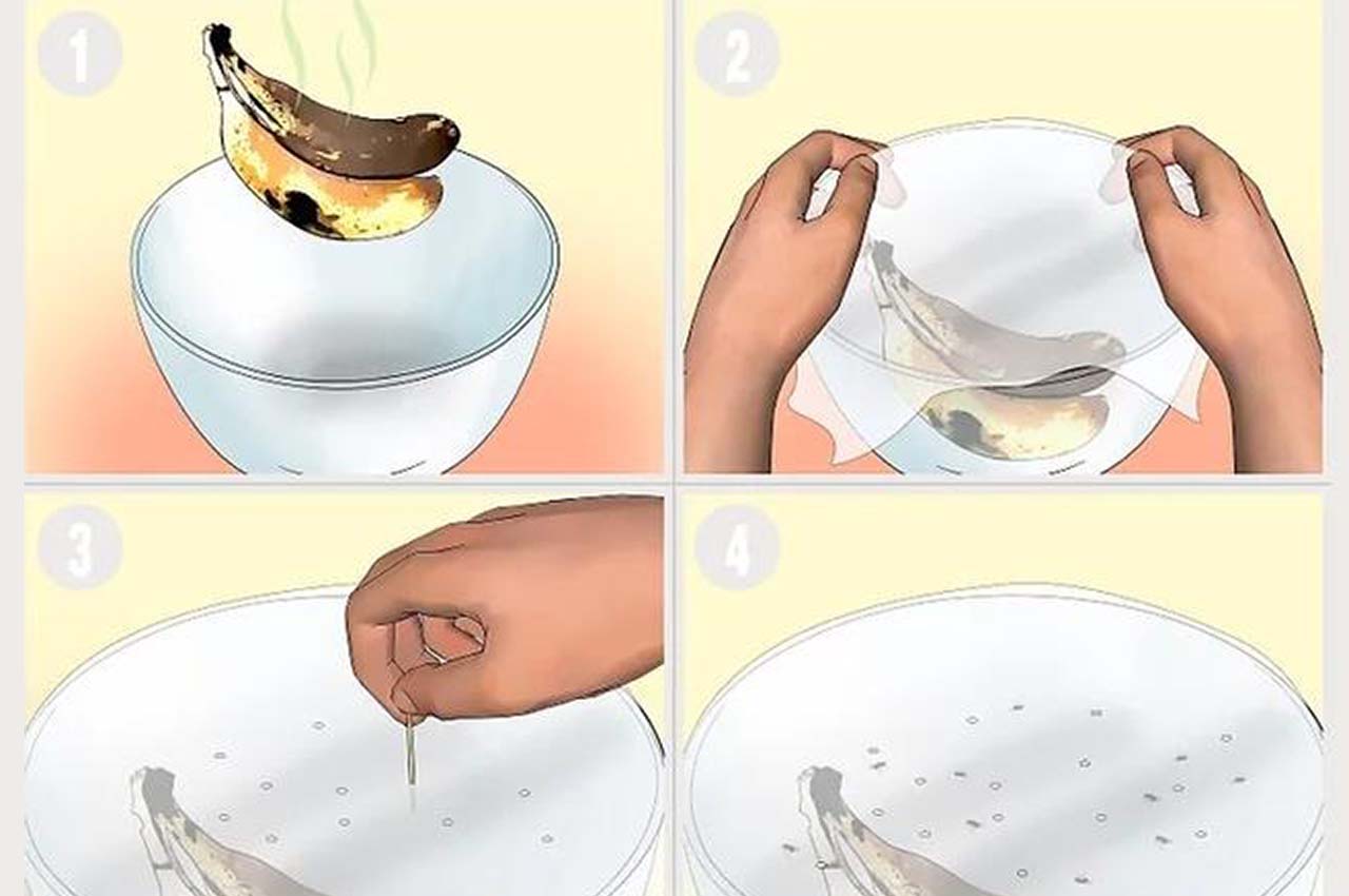 The effective fruit fly trap