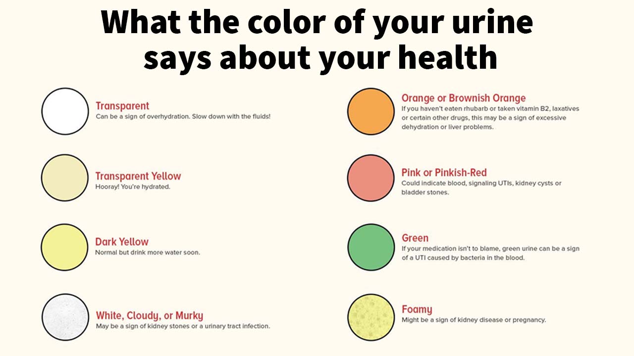 The color of you urine says about your health.