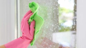 The Quick and Simple Trick to Clean Windows with Vinegar: They Will be Shiny