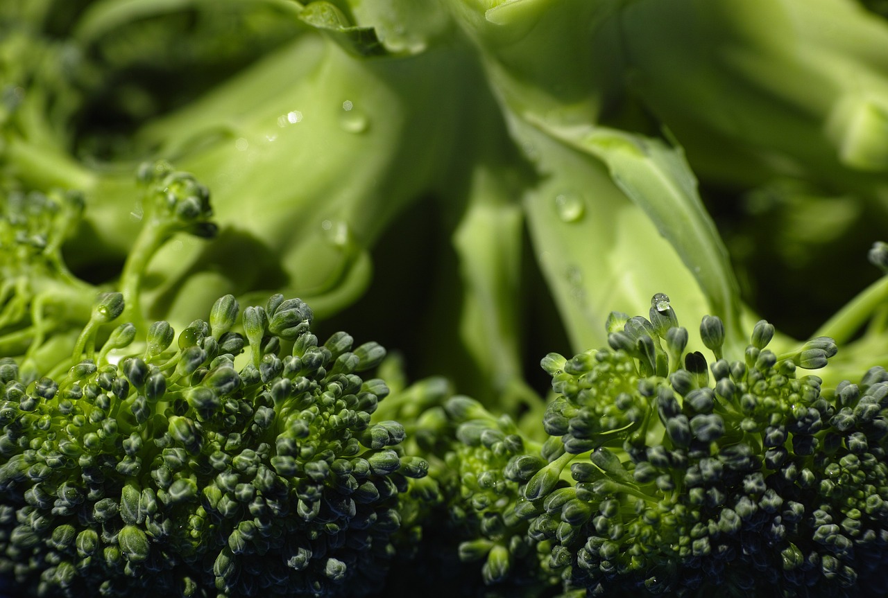 fresh and fully grown broccoli