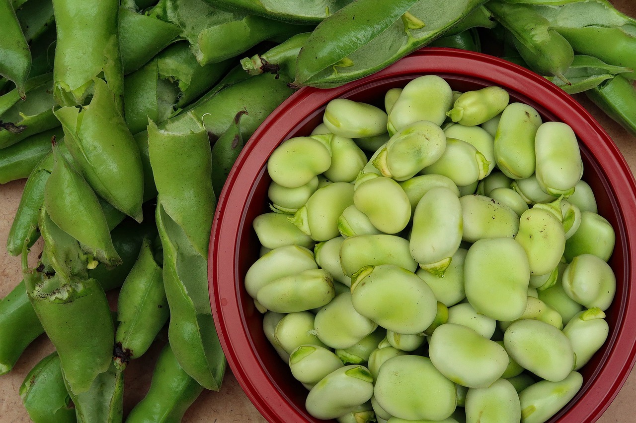 broad beans in a bowl