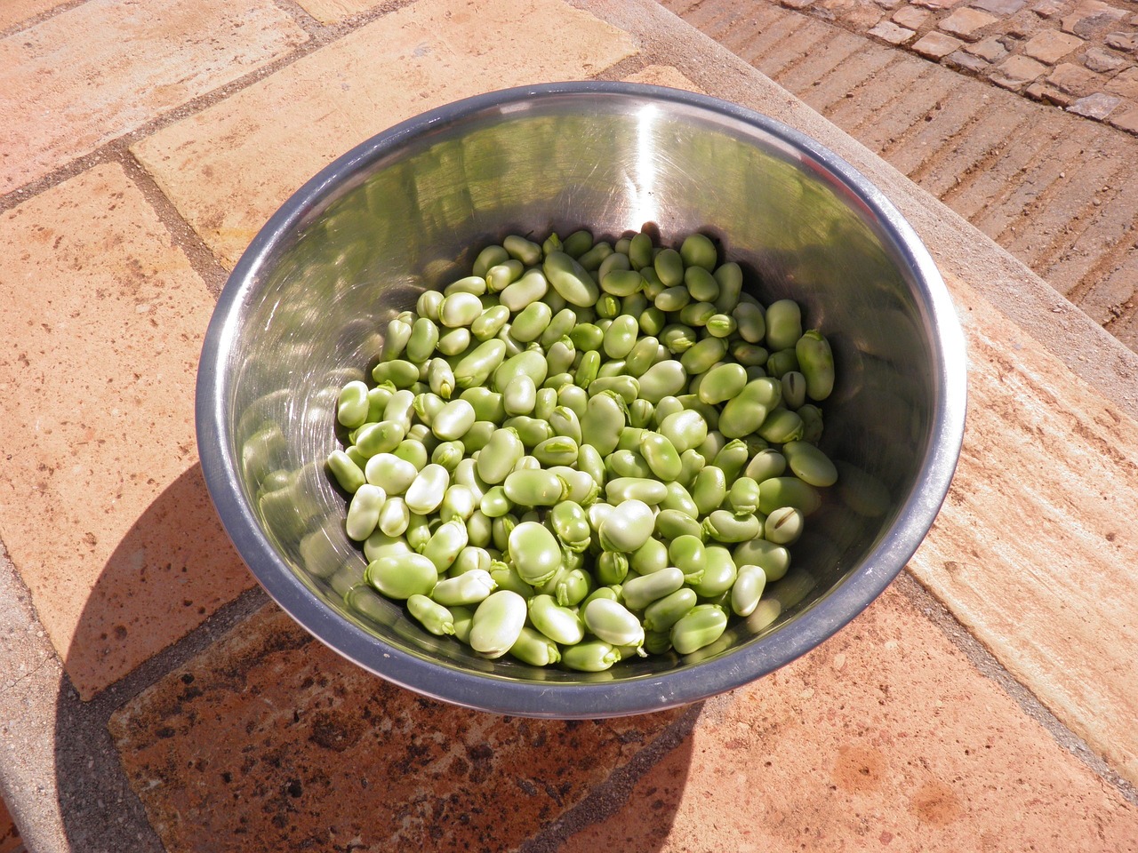 broad beans in a bowl placed in the sunlight