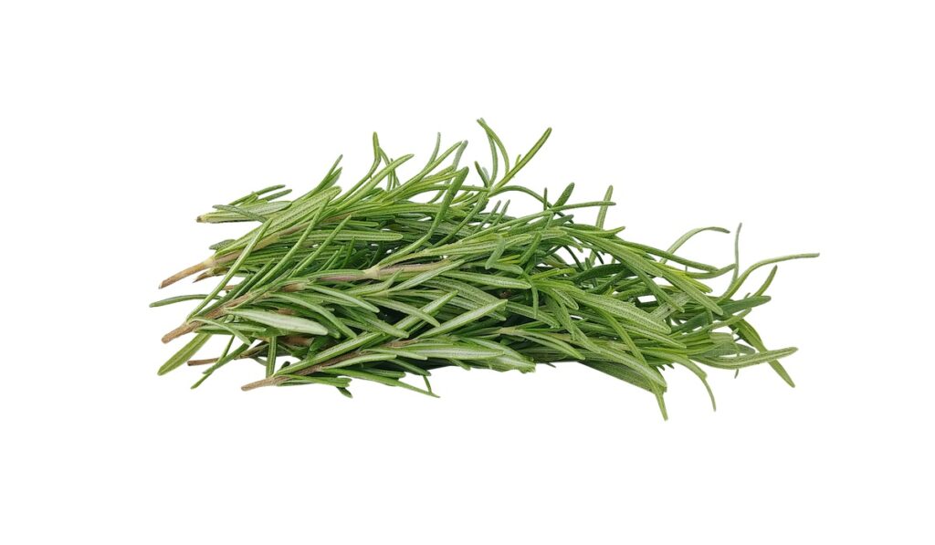 rosemary