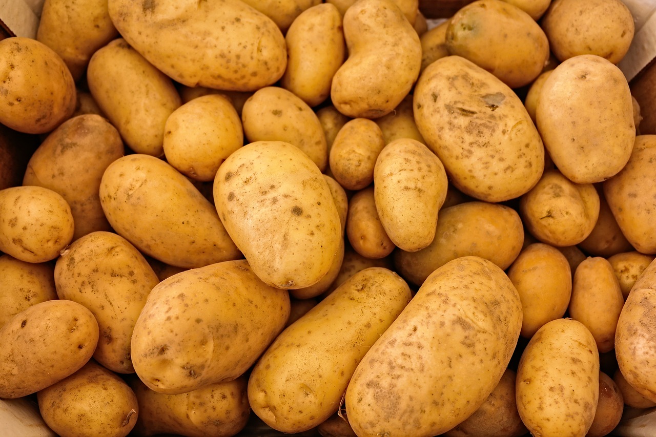 fully grown potatoes